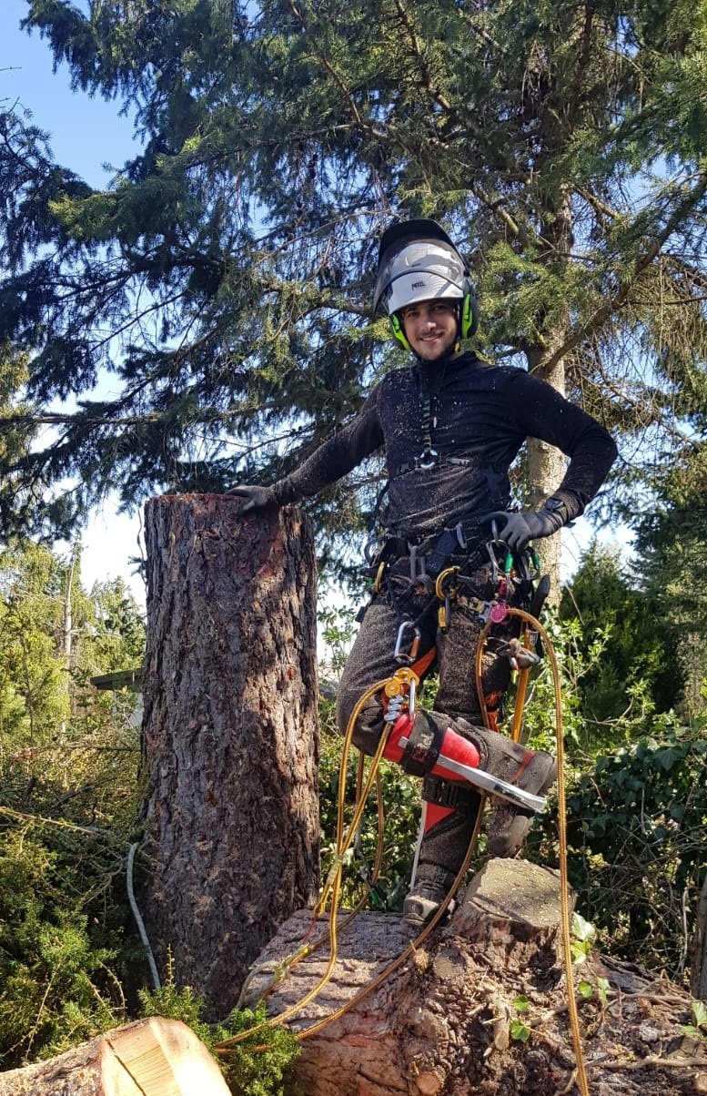 Greencare Casper in voller Schutzausrüstung steht mit Seilen und Werkzeug neben einem Baumstumpf im Wald bei sonnigem Wetter.